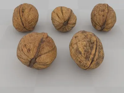 5 walnuts and a decorative vase - Photogrammetry Scan 3D model