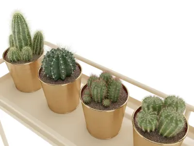 IKEA KRYDDPEPPAR with cactus and BITTERGURKA Watering can 3D model