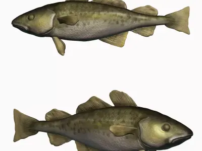 Fish Sculpt 3D print model