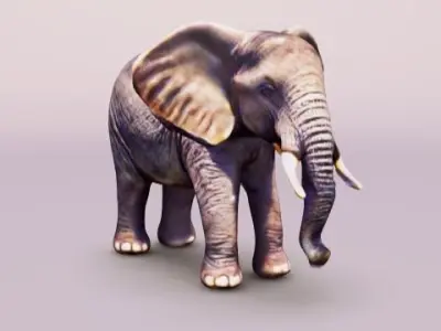 Elephant adult baby 3D model
