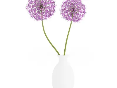 Small Purple Flowers in White Vase 3D model