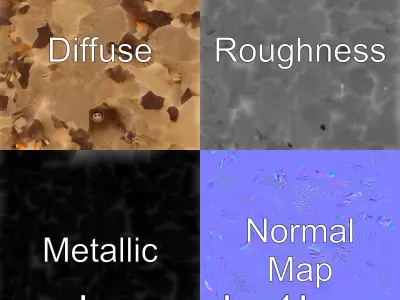 Realistic Nutria Model with Textured Fur and Natural Base Low-poly 3D model