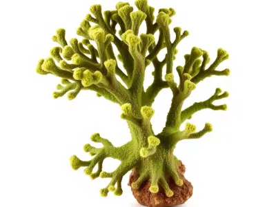 Vibrant Green Coral model pack Low-poly 3D model