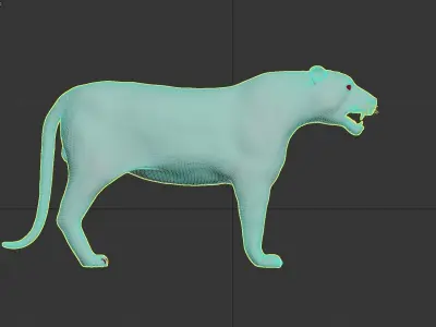 Tiger Low-poly 3D model