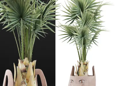 Plants Collection 143 Sabal Minor 3D model