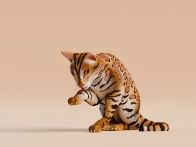 Low poly - Stylized cats - Bengal Cat Low-poly 3D model