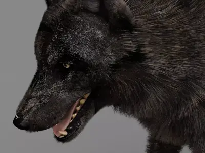 WOLF rigged character 3D model