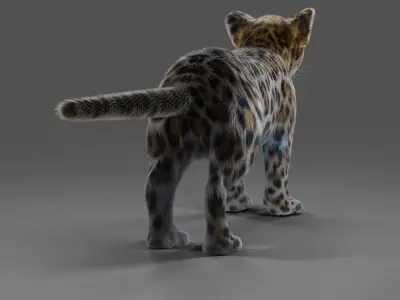 Fur Baby Jaguar No Rigged  Low-poly 3D model
