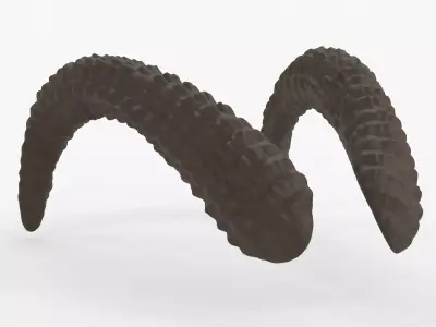 Large Curved Horns - Lauren 3D print model