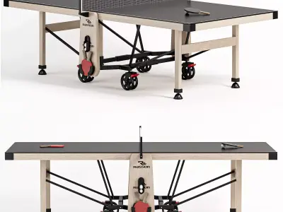 Rasson Premium W2266 Ping Pong Table 3D model