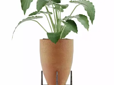 Plants Collection 50 3D model