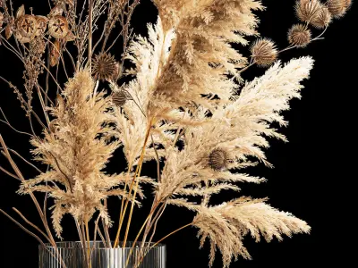 Bouquet of dried flowers with thorn and cardaderia branches 283 3D model