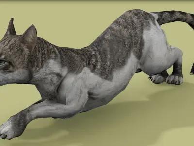 REALISTIC CAT RIGGED ANIMATED 5 Low-poly 3D model