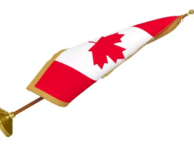 Canada Flag Indoor 3D model