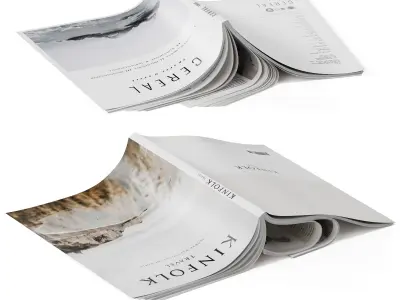 magazines cover upside 3D model