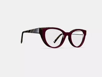 Camila Eyeglasses in Oxblood with Striped Elm 3D model