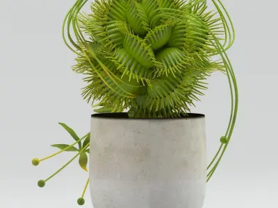 Vase 29 flycatcher flower Dionaea 3D model