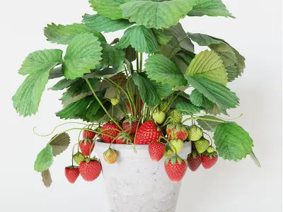 Strawberry in pot 3D model