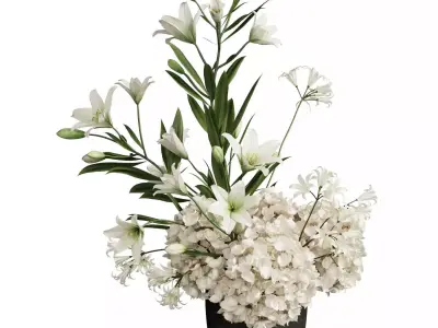 Flower In Vase Collection 09