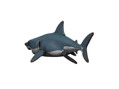 Shark Low-poly 3D model 48