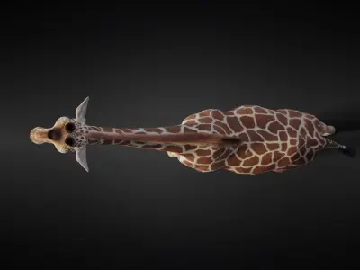 Giraffe Animated 3D model