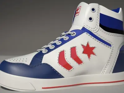 Sport shoes Mental ray 3D model