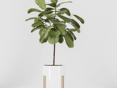 Plant Collection 06 3D model