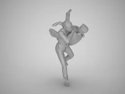 Judo Championships 3D print model