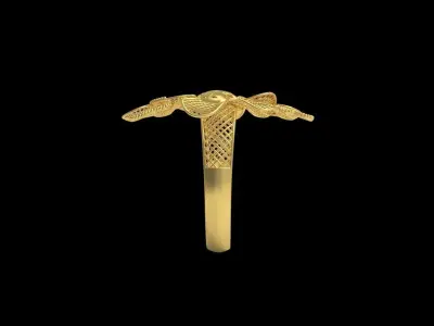 Fusion Gold Rings RAA02 3D print model