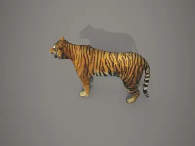 Bengali Tiger Low-poly 3D model