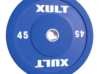 45lb Bumper Plate 3D model
