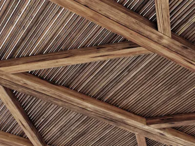 Ceiling diagonal branch straight n1 3D model