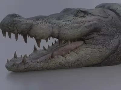 Crocodile Low-poly 3D model
