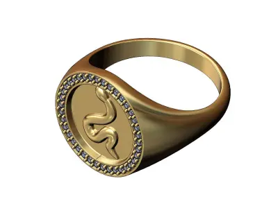 Diamond snake round signet ring US sizes 7 to 11 3D print model