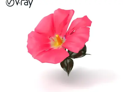 Ipomoea Pink Flower Natural Curves model pack Low-poly 3D model