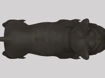 frenchie bulldog Low-poly 3D model