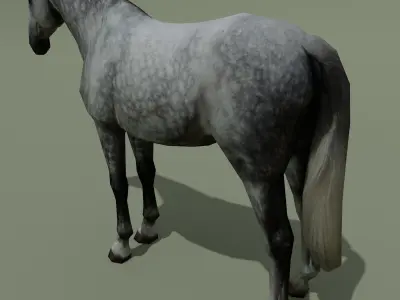 LowPoly Horse B Dapple grey Low-poly 3D model