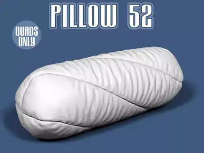 Pillow 52 3D model
