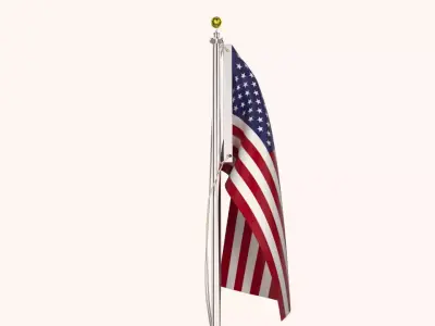 USA Flag Pole 3D model