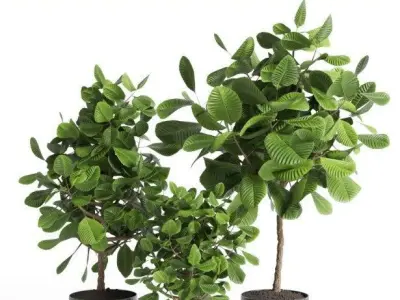 Indoor plant collection 27-marble vase Low-poly 3D model