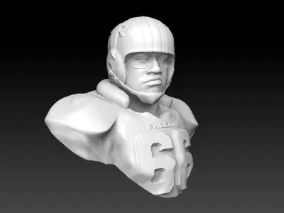 Atlanta Falcons throwback Bust 3D print model