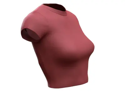 Tshirt 60 - All MH Bodies - UE5 Skeletons - Rigged Low-poly 3D model