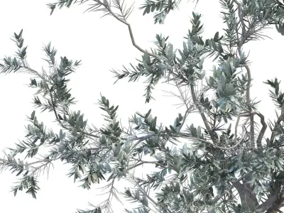 Green decoration object set 221 3D model