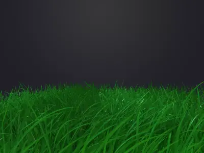 Realistic Field Grass Free low-poly 3D model