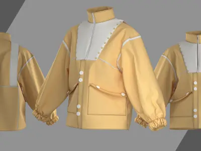 Casual jackets 3D model