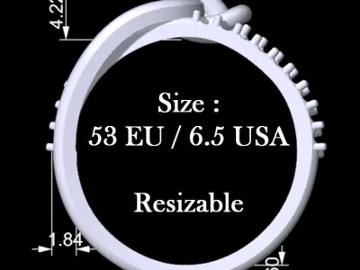 Knot Ring 3D print model