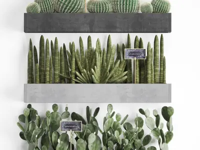 Cactus set wall decor vertical garden 43 3D model