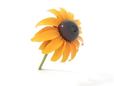 Sunny Daisy Blossom model pack Low-poly 3D model