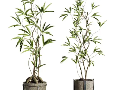 Plants Set 3D model buy