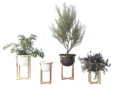 Interior Plants Trio Low-poly 3D model